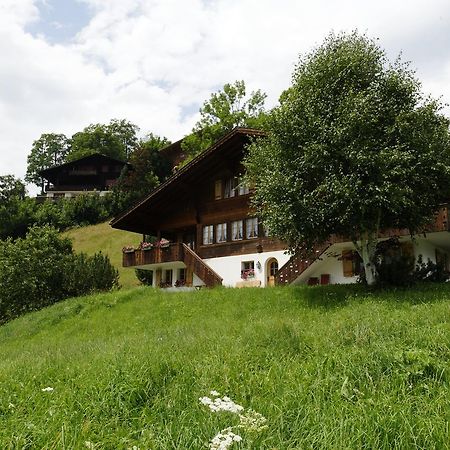 Chalet Unter Dem Stein Grindelwald Exterior photo