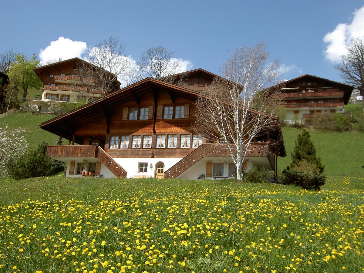 Chalet Unter Dem Stein Grindelwald Exterior photo