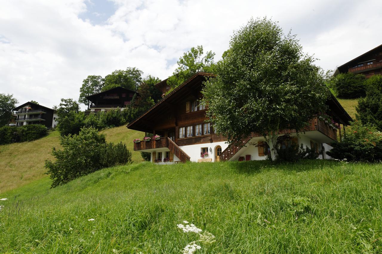 Chalet Unter Dem Stein Grindelwald Exterior photo