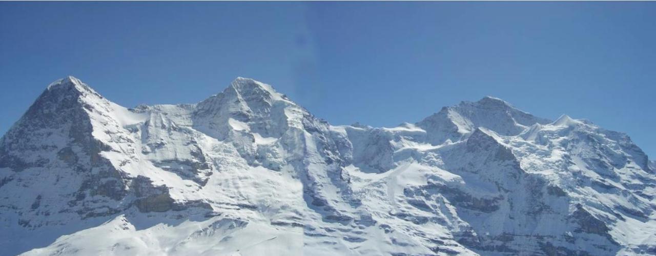 Chalet Unter Dem Stein Grindelwald Exterior photo